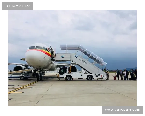 9游网页版入口常见问题解答及详细操作步骤帮助新手快速上手