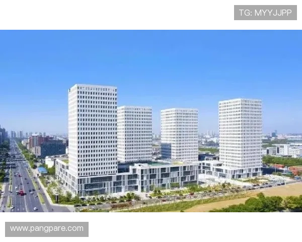 九游娱乐官方网站赞助不莱梅的合作对中国体育产业国际化发展的示范作用与启示